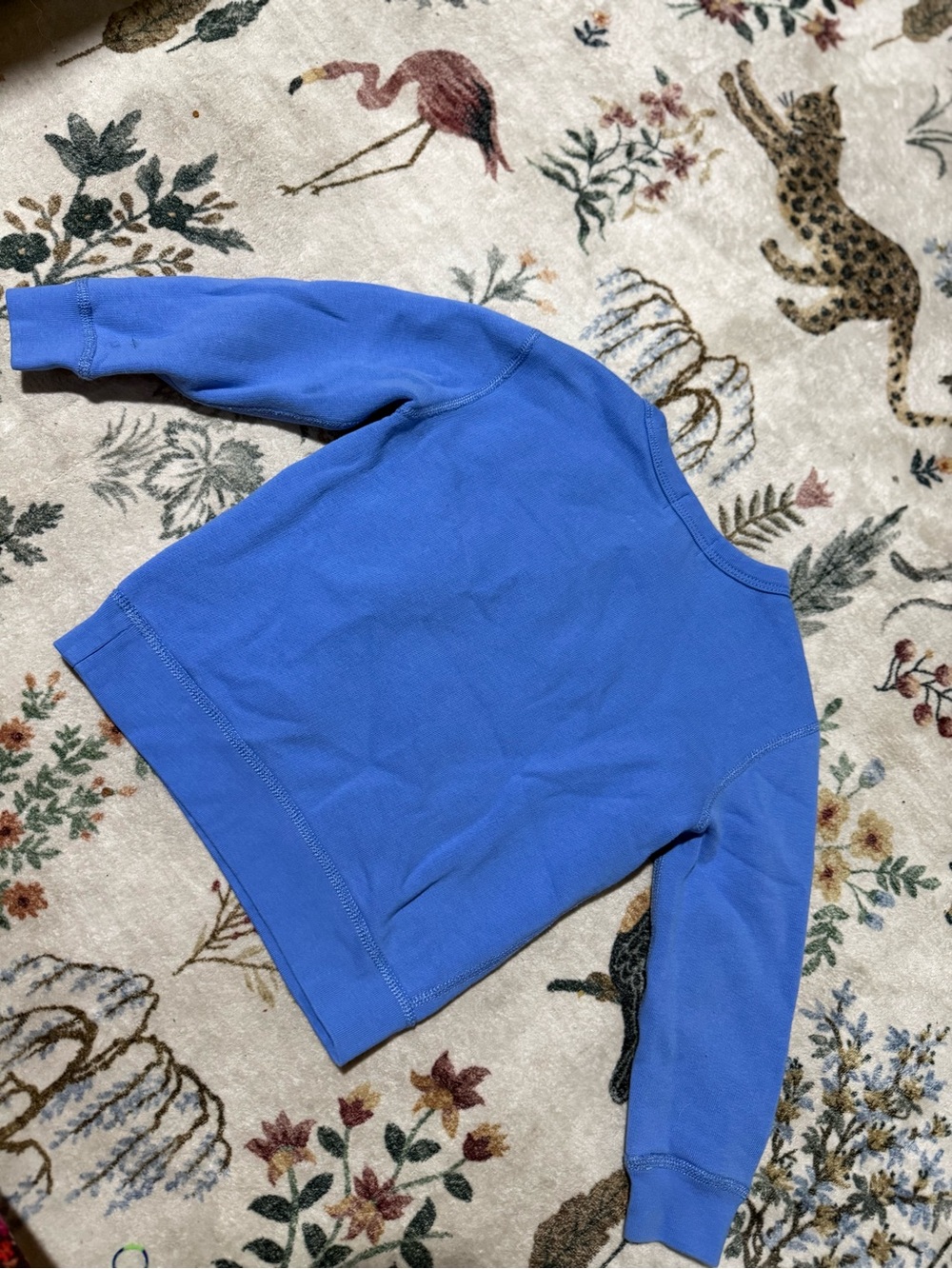 Polo by Ralph Lauren Blue Kids Sweatshirt 4T - Picture 4 of 9